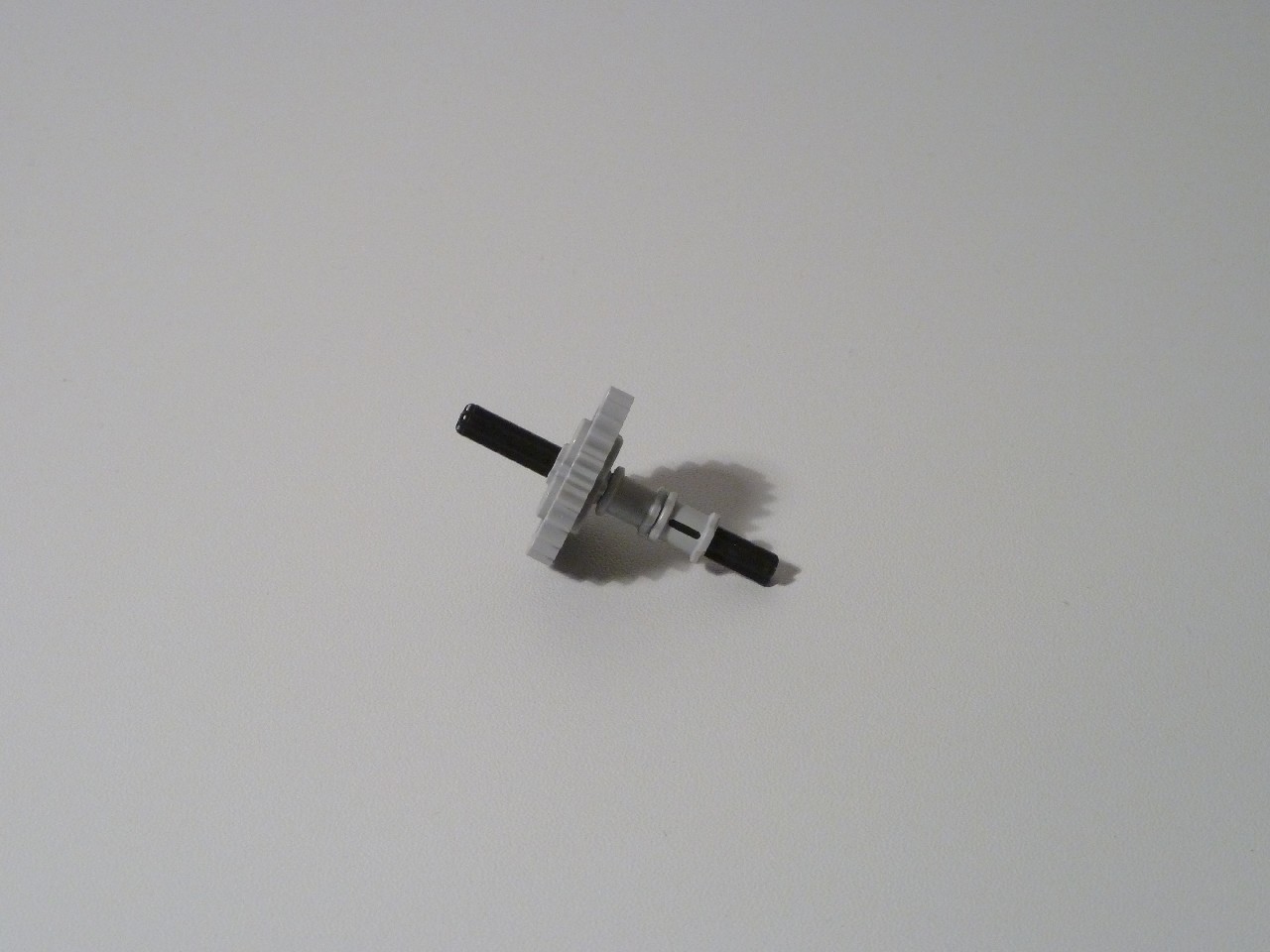 p1000355.jpg