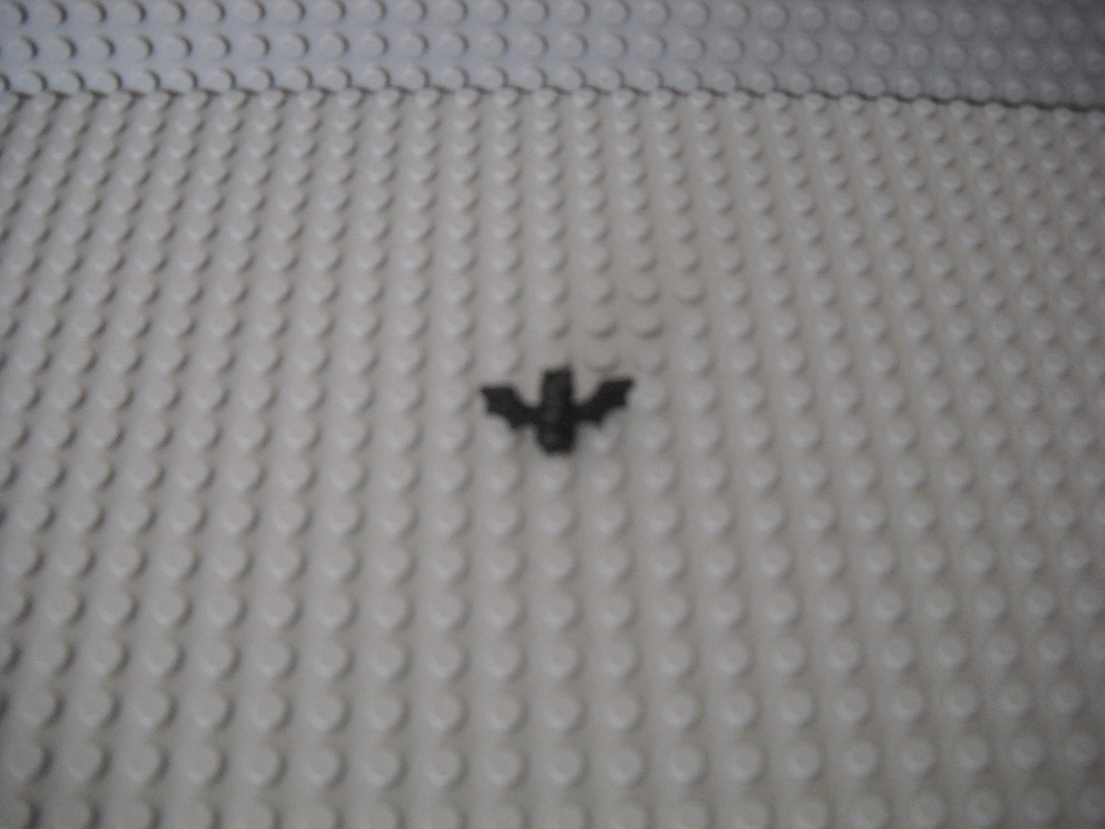 new_mjm_pictures_001.jpg