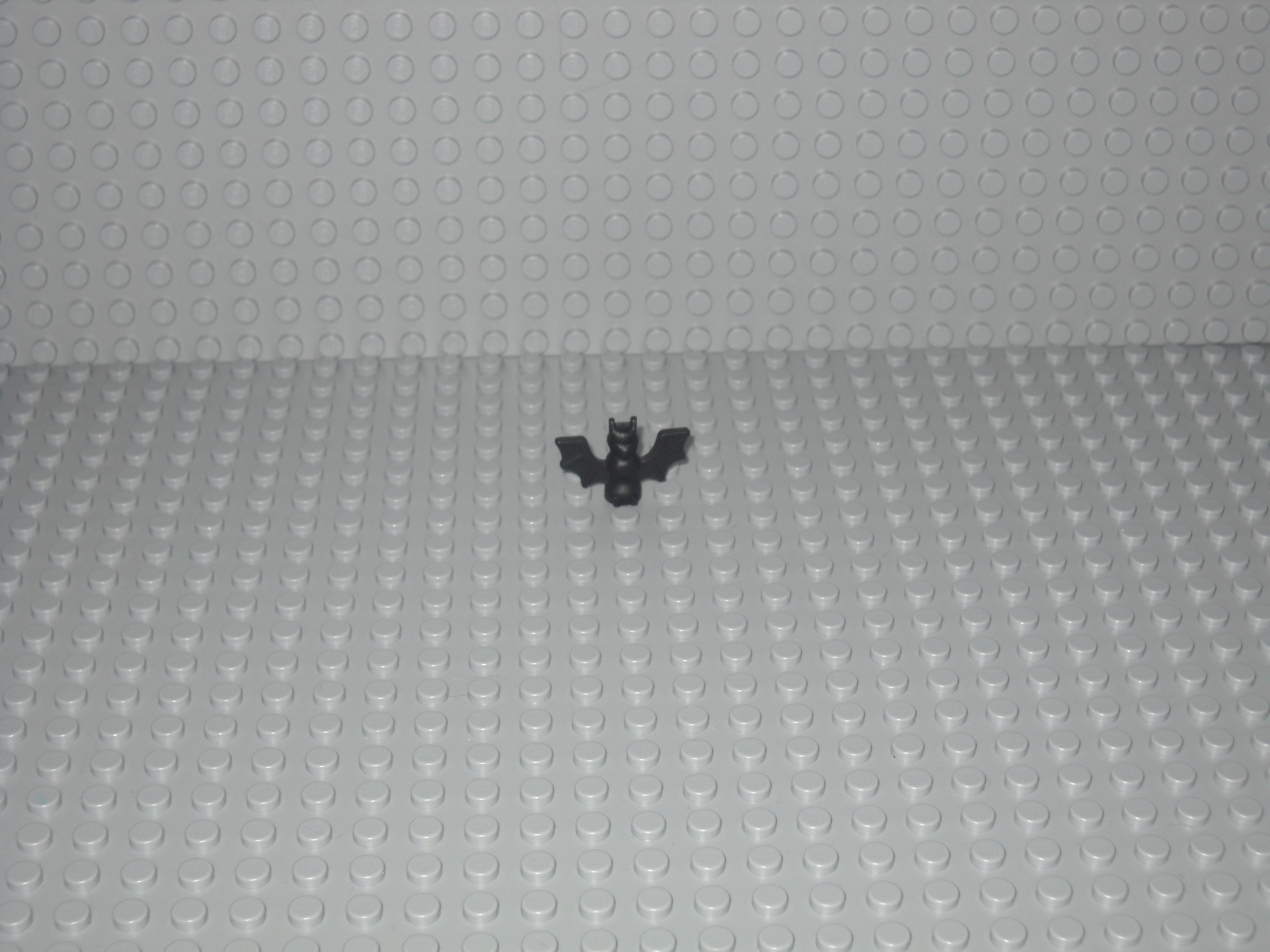 new_mjm_pictures_005.jpg