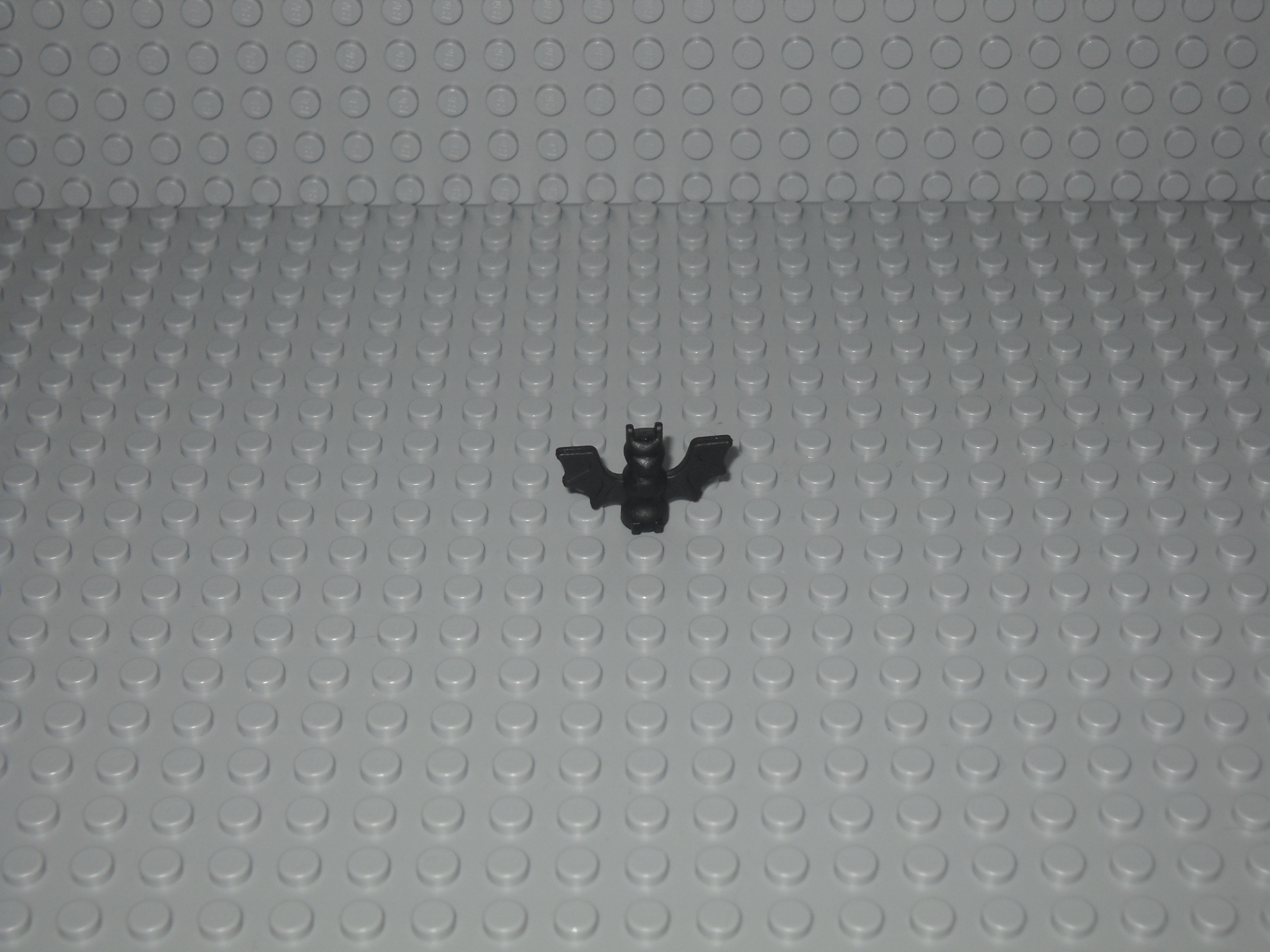 new_mjm_pictures_006.jpg