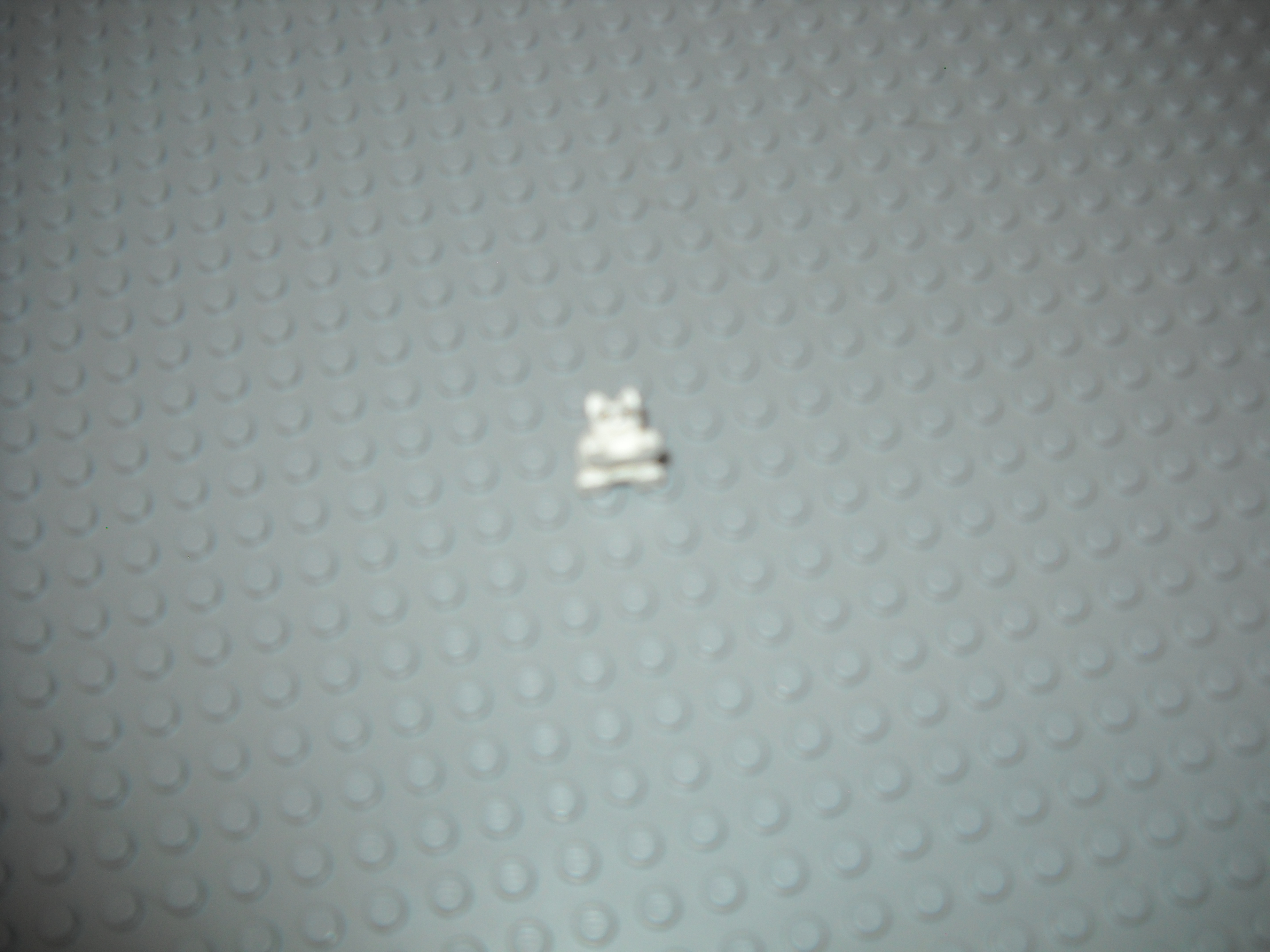 makennahs_pics_183.jpg