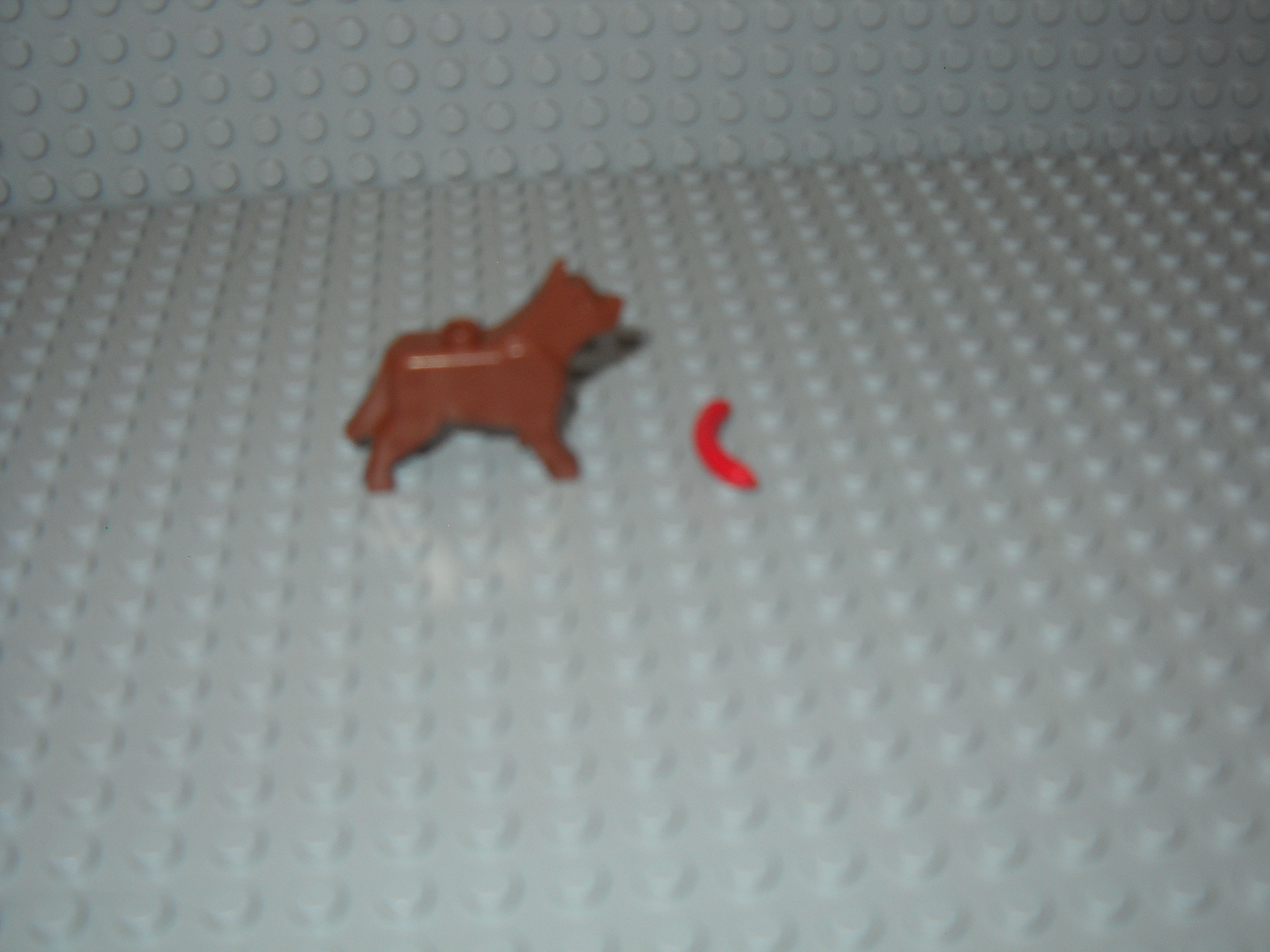 makennahs_pics_179.jpg