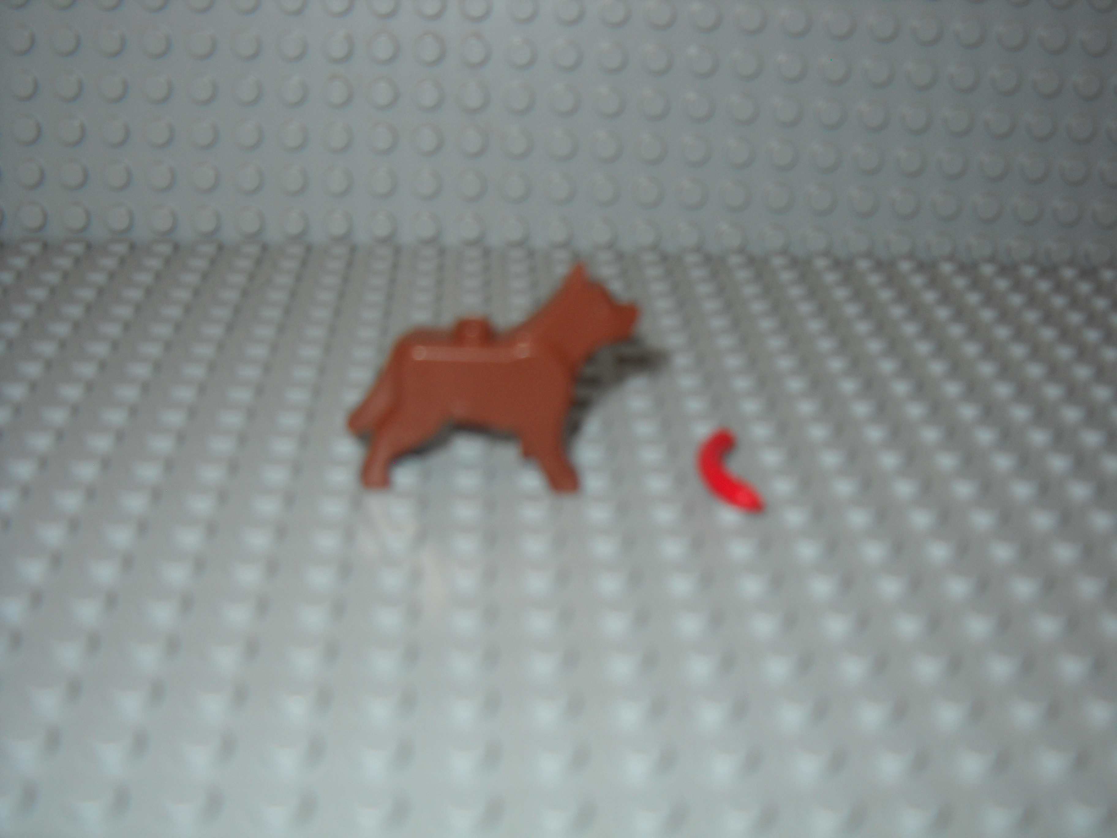 makennahs_pics_180.jpg