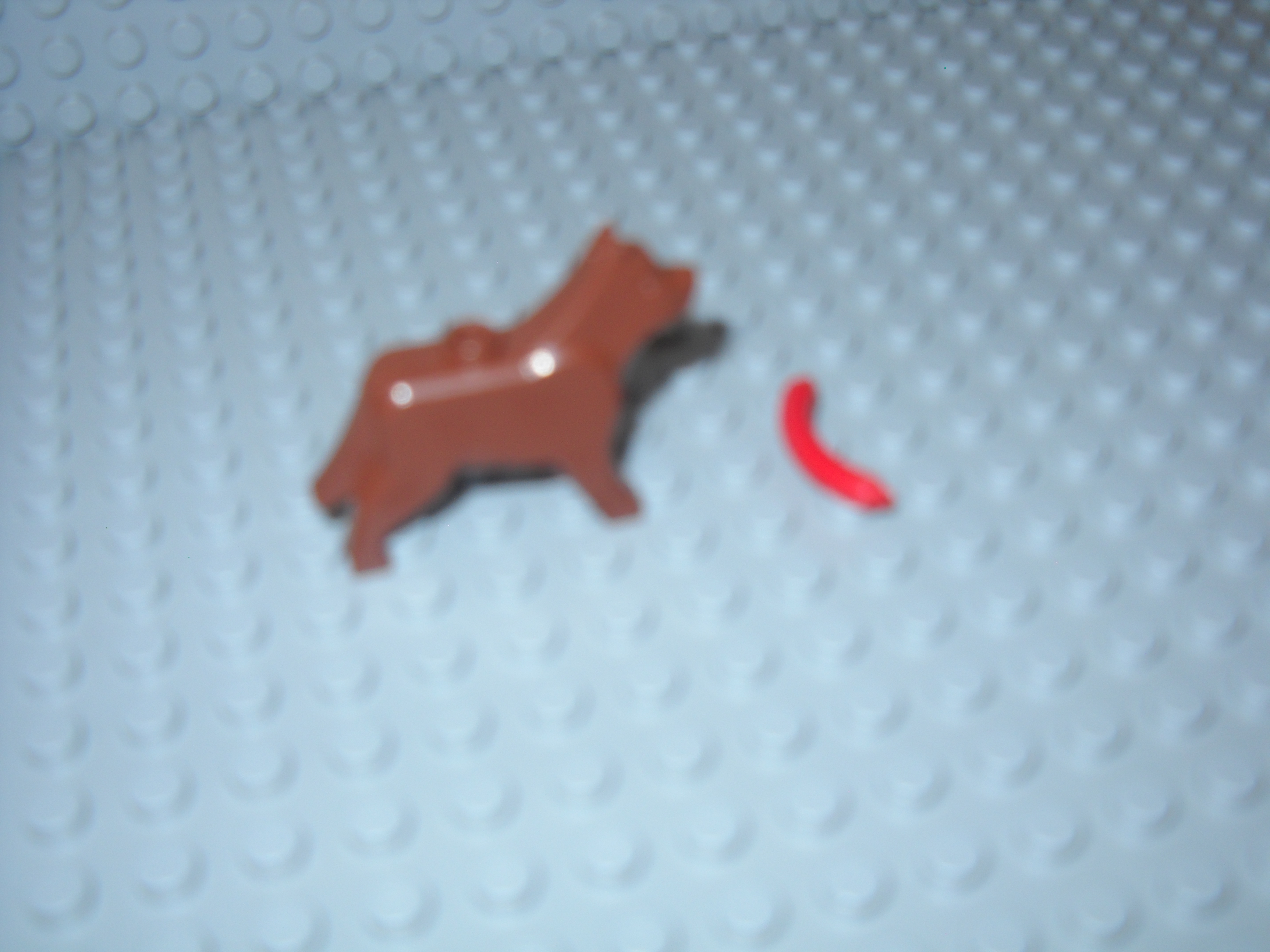 makennahs_pics_181.jpg