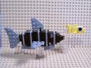 1fish.jpg