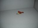 makennahs_pics_171.jpg