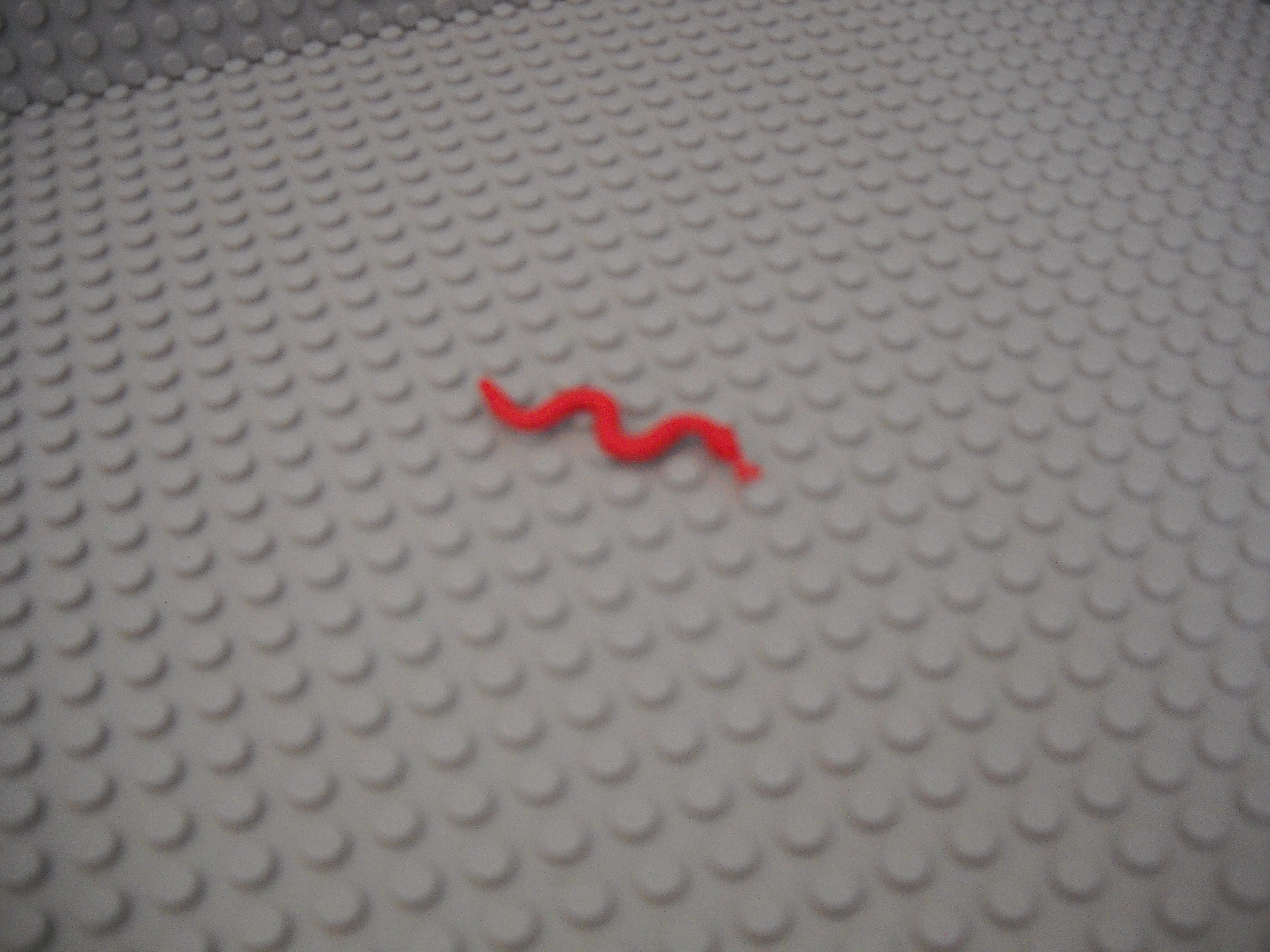 makennahs_pics_178.jpg