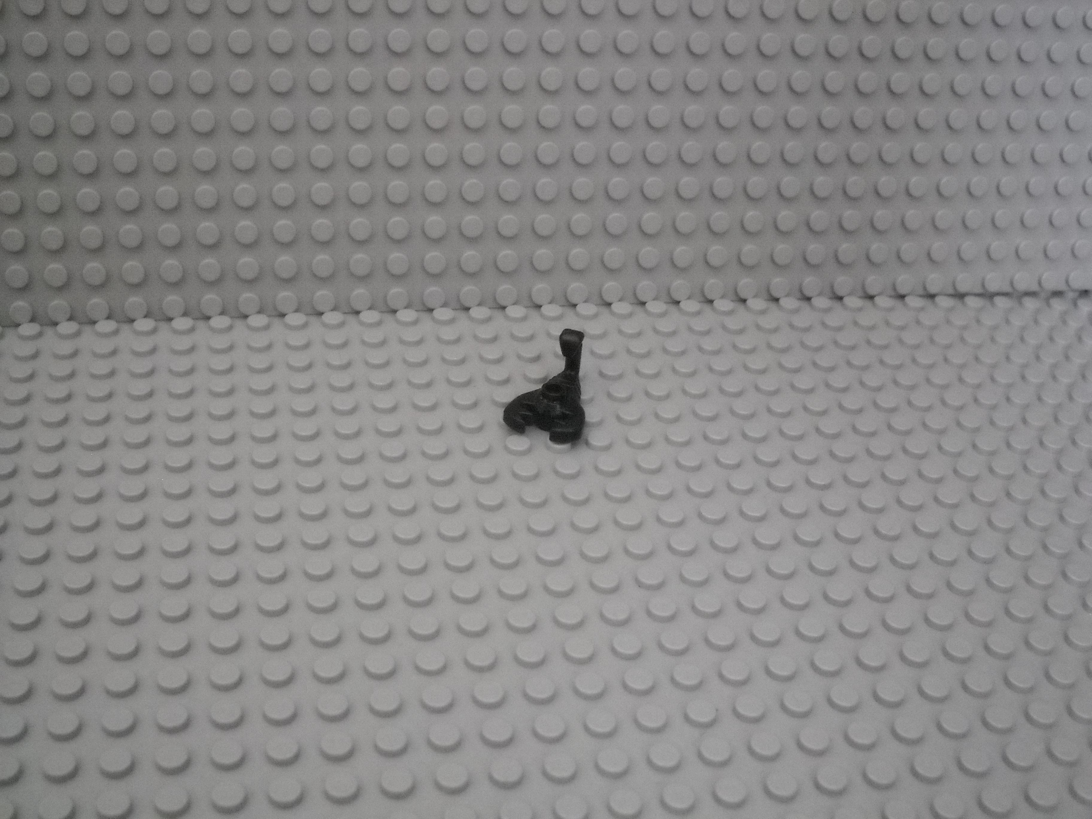 new_mjm_pictures_035.jpg