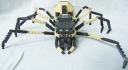 1spider.jpg