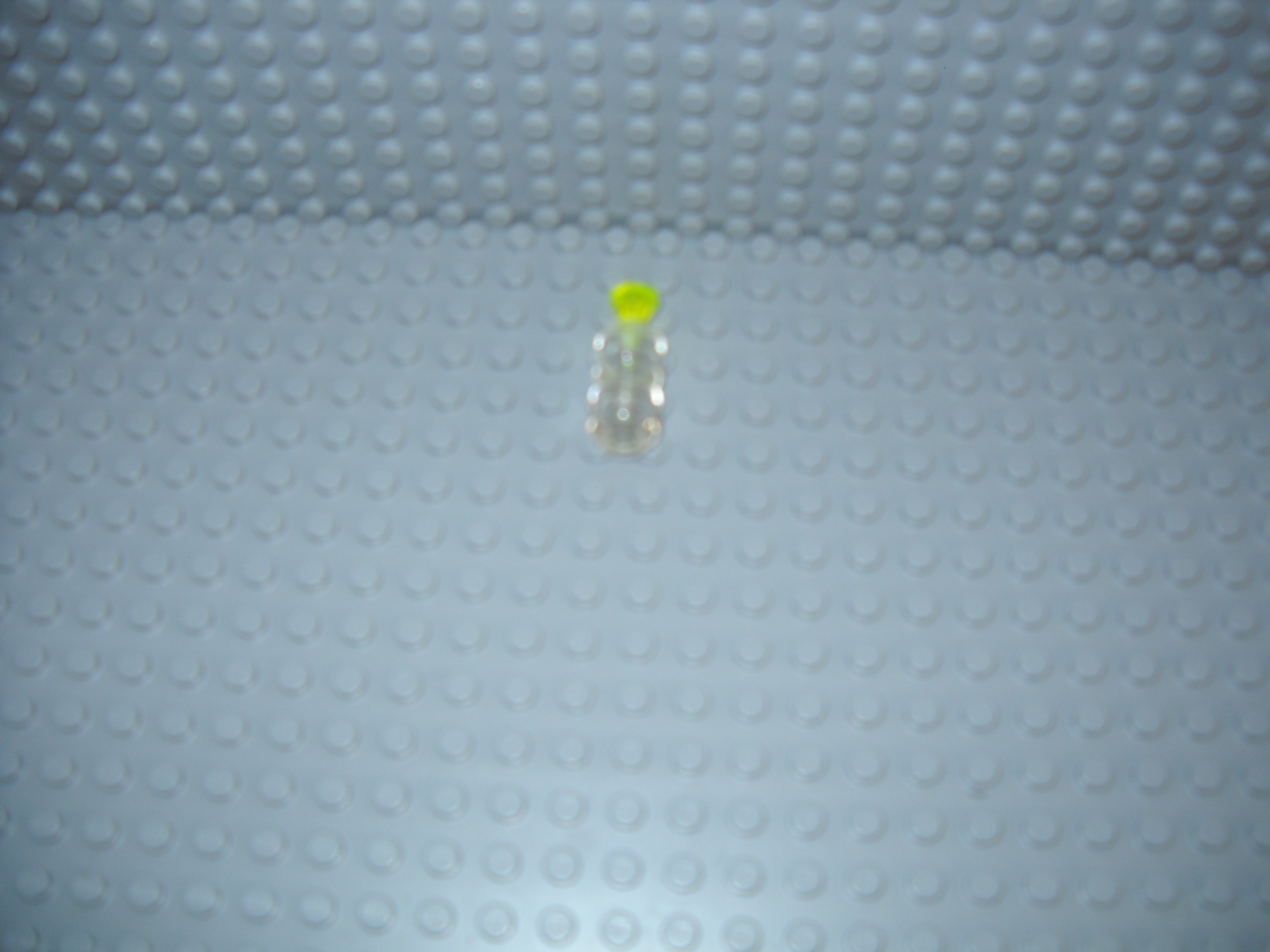 mjm_pics_3_032.jpg