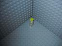 mjm_pics_3_031.jpg
