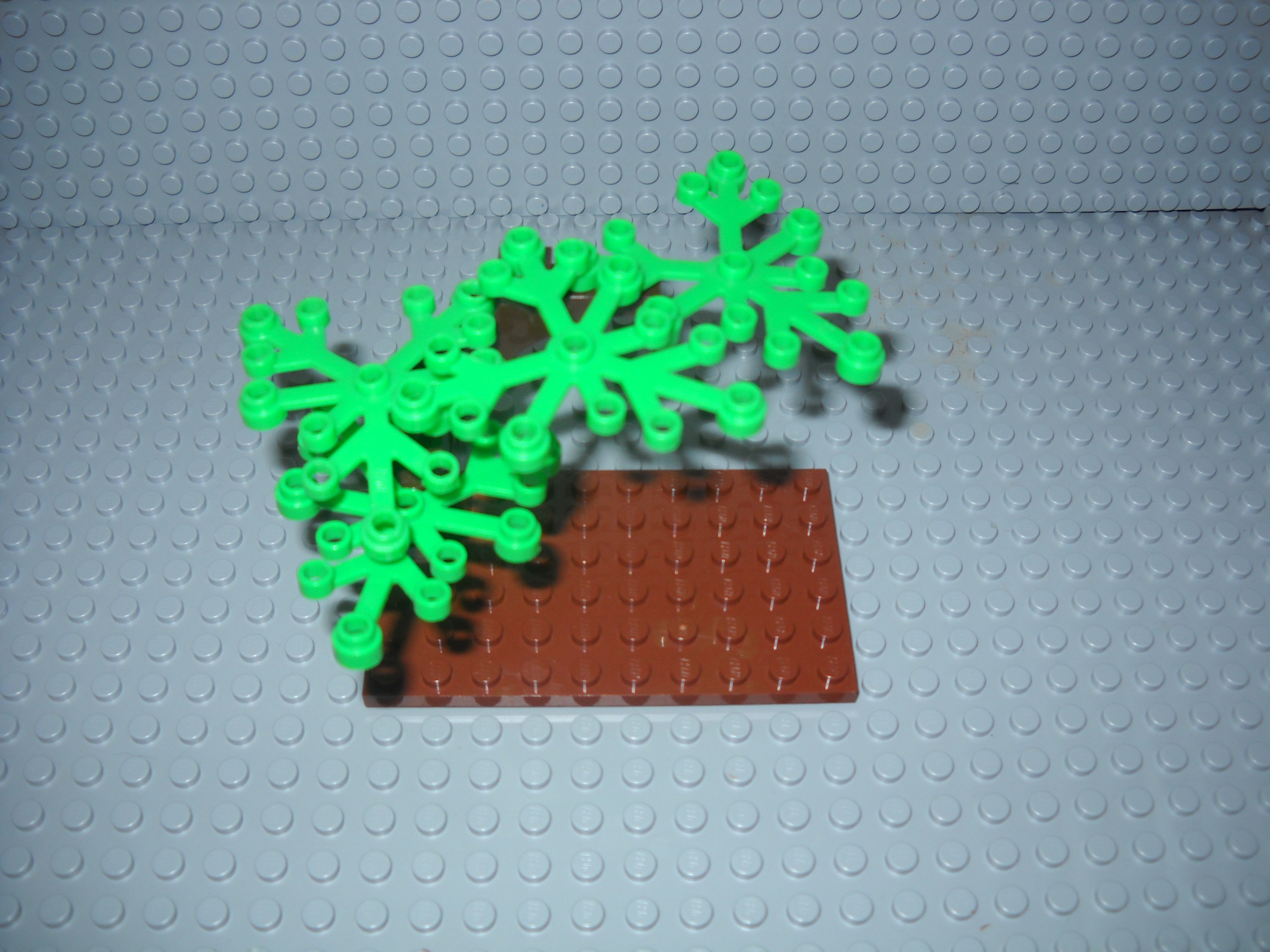 mjm_pics_3_011.jpg