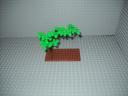 IVY-TREE