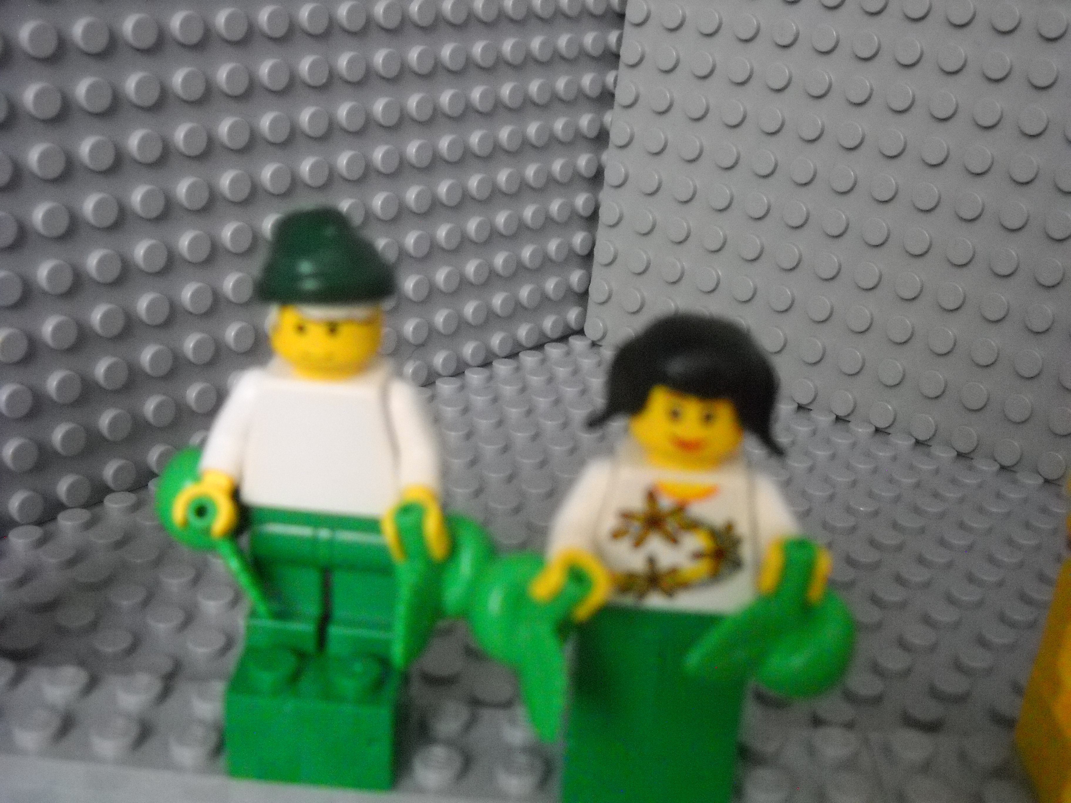 99brick_pics_223.jpg