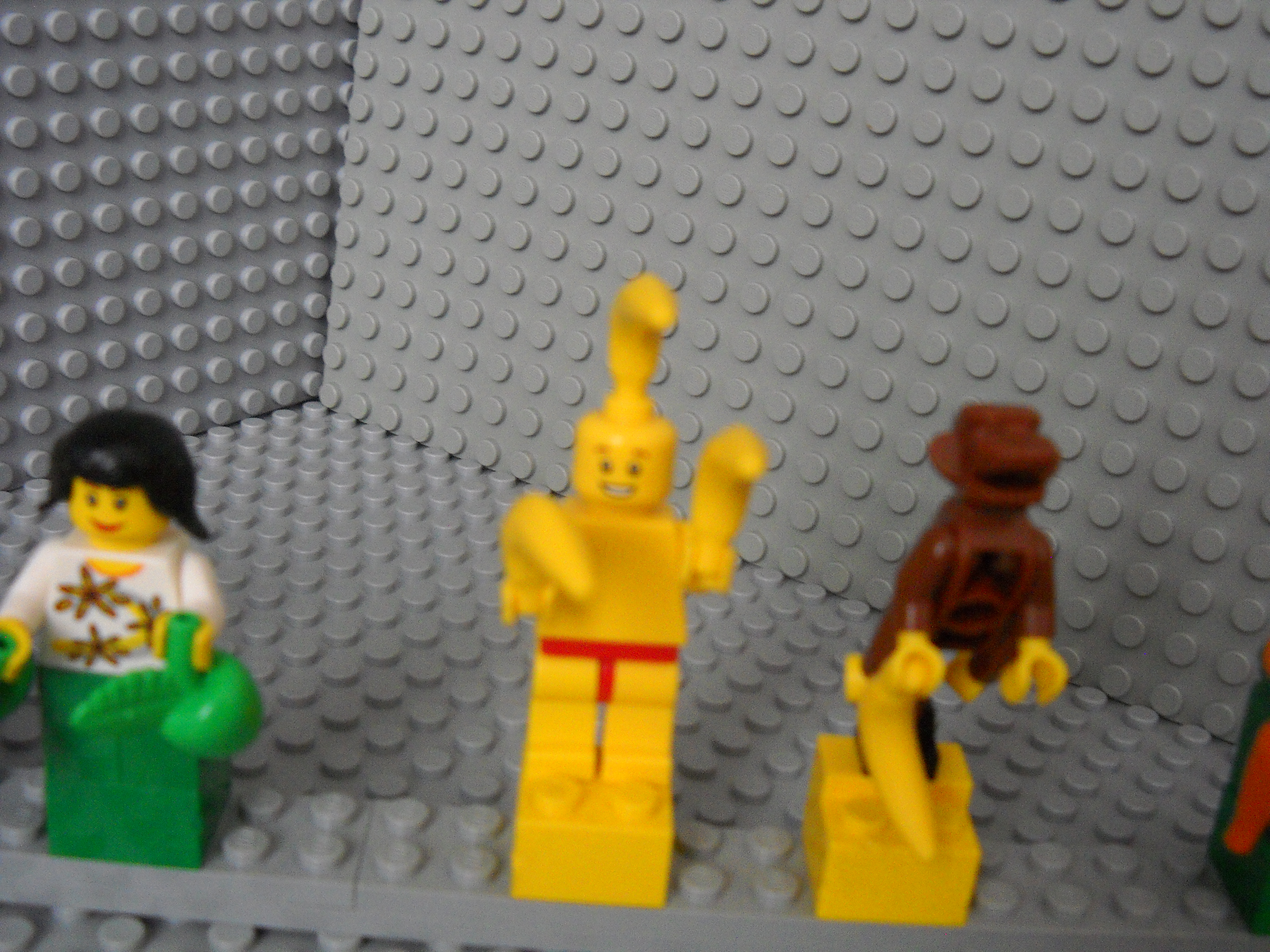 99brick_pics_224.jpg