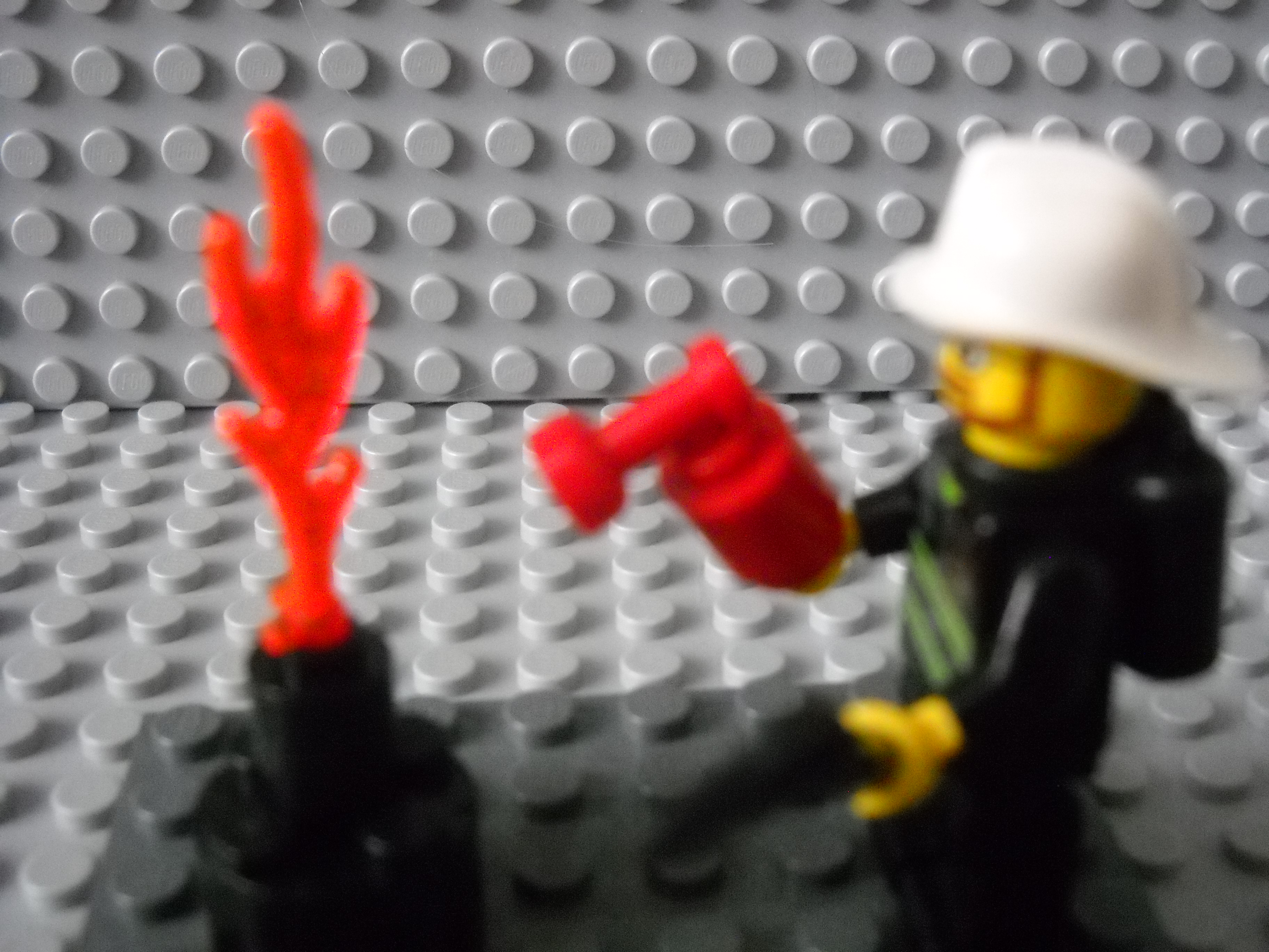 99brick_pics_094.jpg
