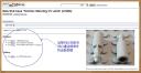 from-peeron-2.jpg