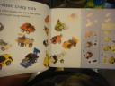 dsc07674.jpg