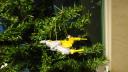 dsc05654.jpg