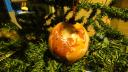 dsc05660.jpg