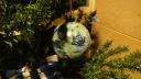 dsc05662.jpg