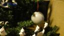 dsc05666.jpg
