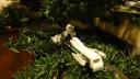 dsc05673.jpg