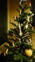 dsc08091.jpg