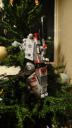 dsc08092.jpg