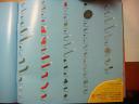 dsc07258.jpg