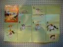 dsc07379.jpg