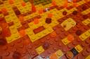 dsc07500.jpg