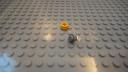 dsc05199.jpg