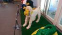imag0856.jpg