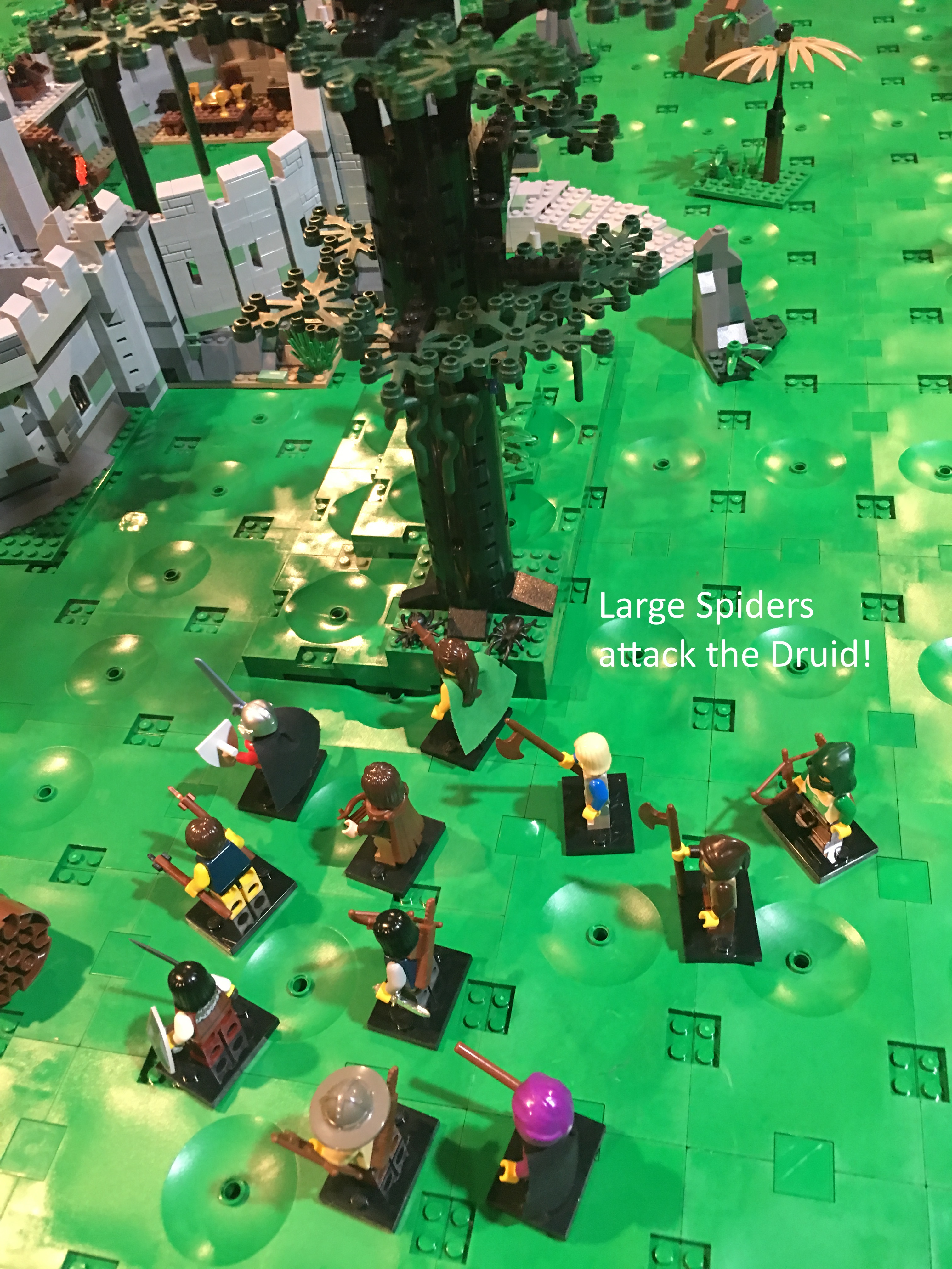 14_large_spiders_attack.jpg
