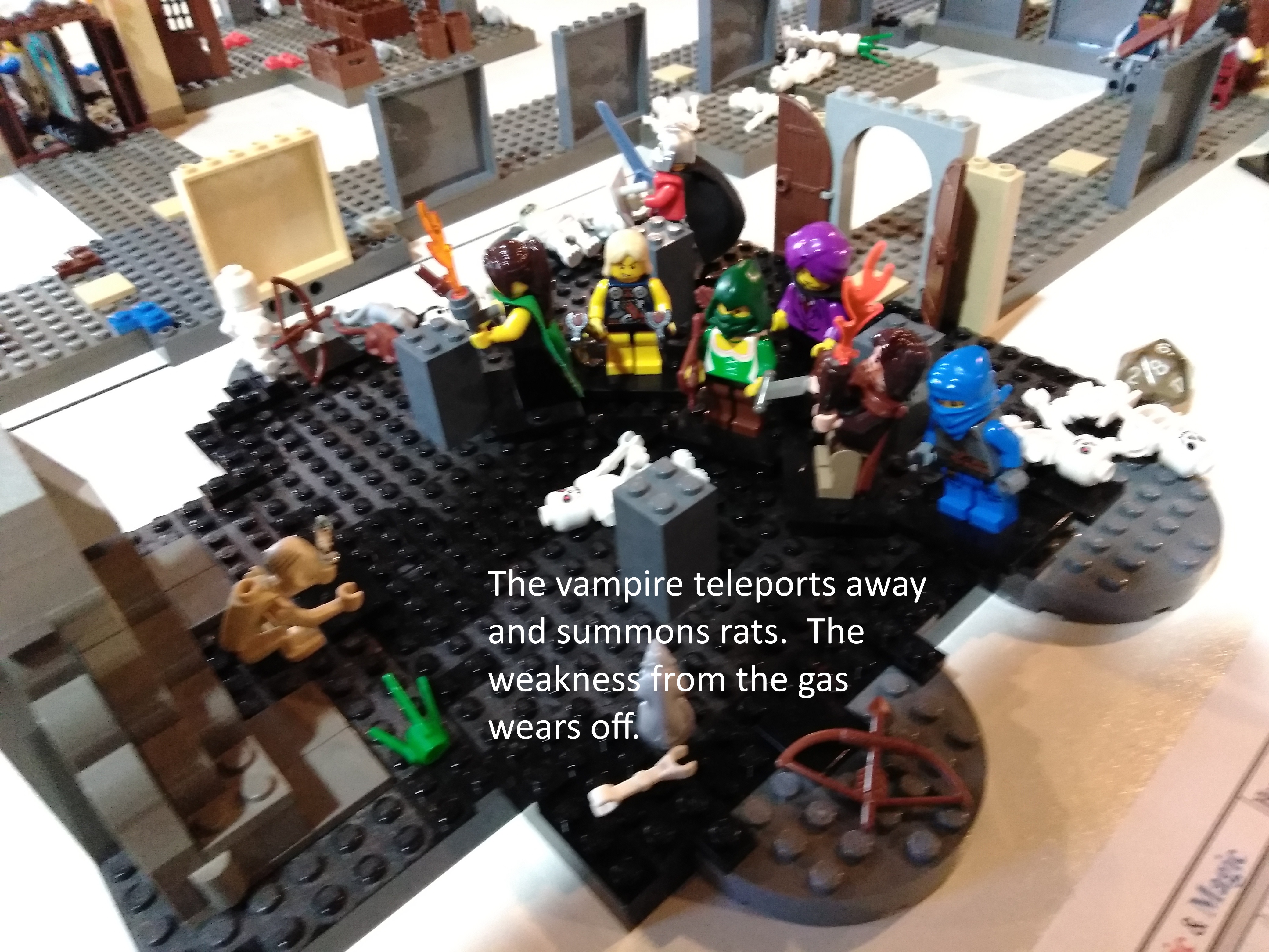 21_rats.jpg