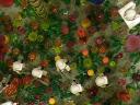 yz-felucia-a06_81.jpg