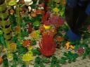 yz-felucia-b01_68.jpg