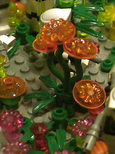 yz-felucia-b03_36.jpg
