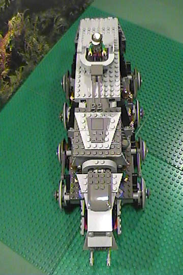 gnat-b03-12.jpg