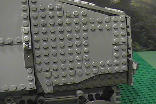 gnat-c05-23.jpg