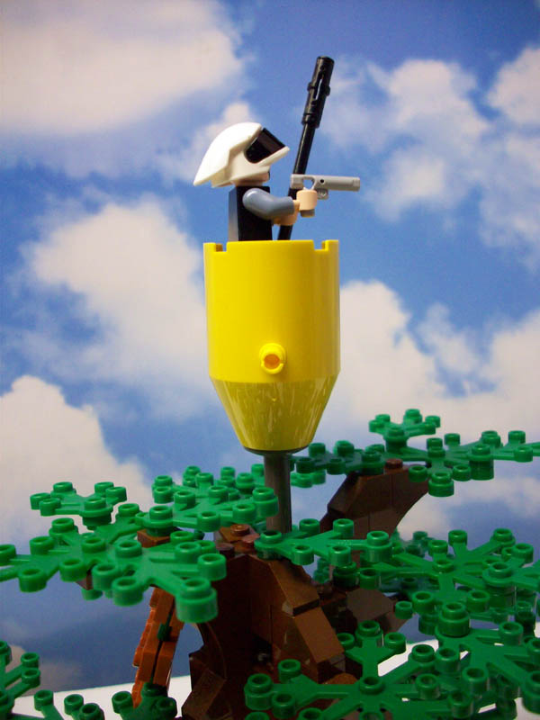 rebeladvancelookout_a08_002.jpg