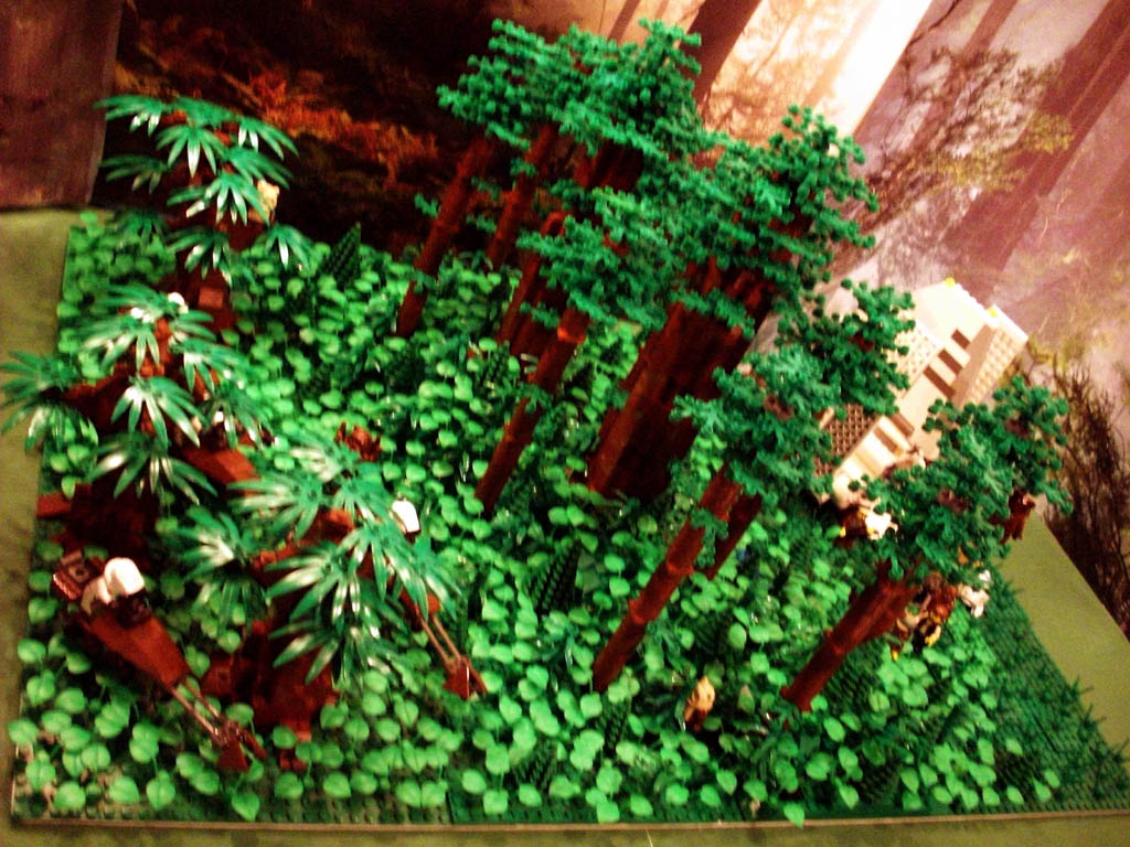 z-endor_landing_a02_040.jpg