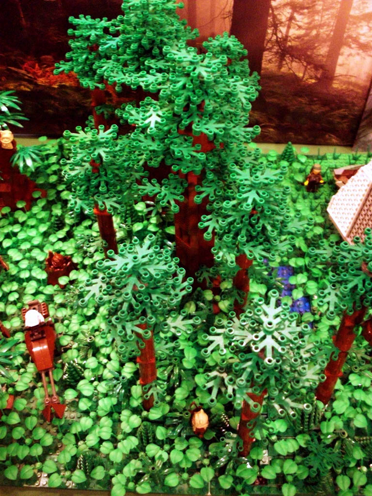 z-endor_landing_a05_044.jpg