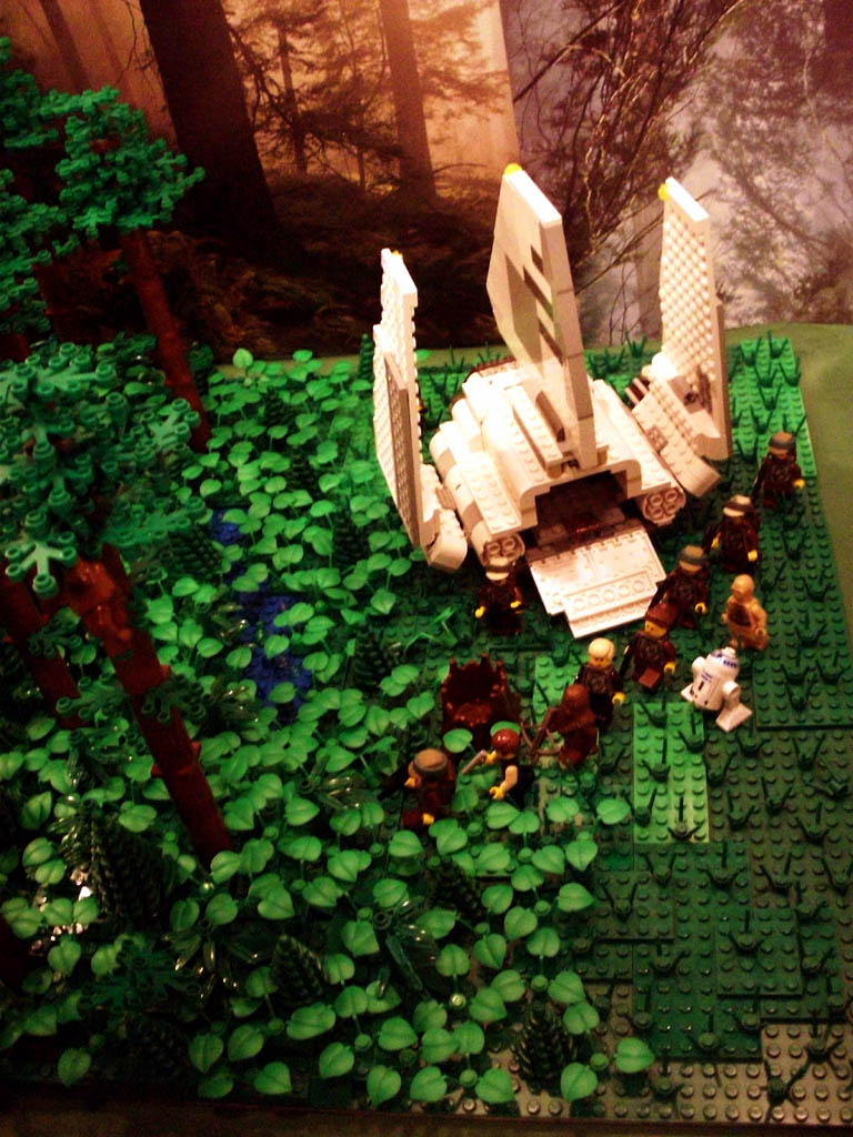 z-endor_landing_a06_043.jpg