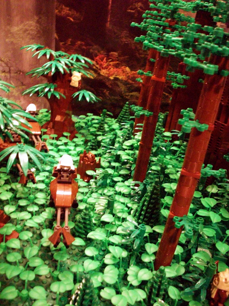 z-endor_landing_a07_054.jpg