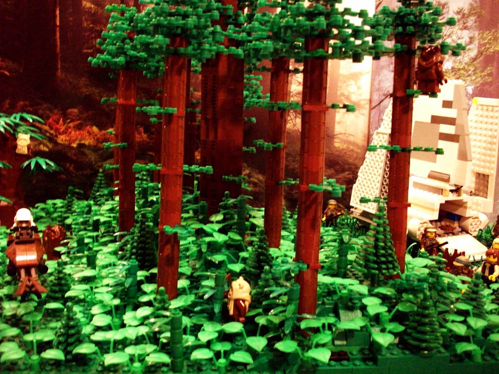 z-endor_landing_a08_047.jpg