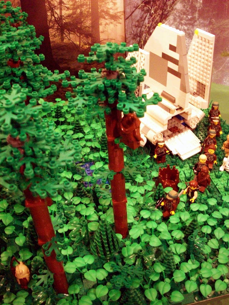 z-endor_landing_a09_055.jpg