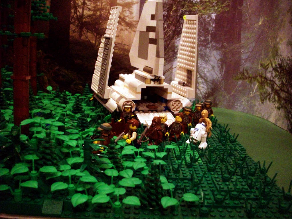 z-endor_landing_a10_045.jpg