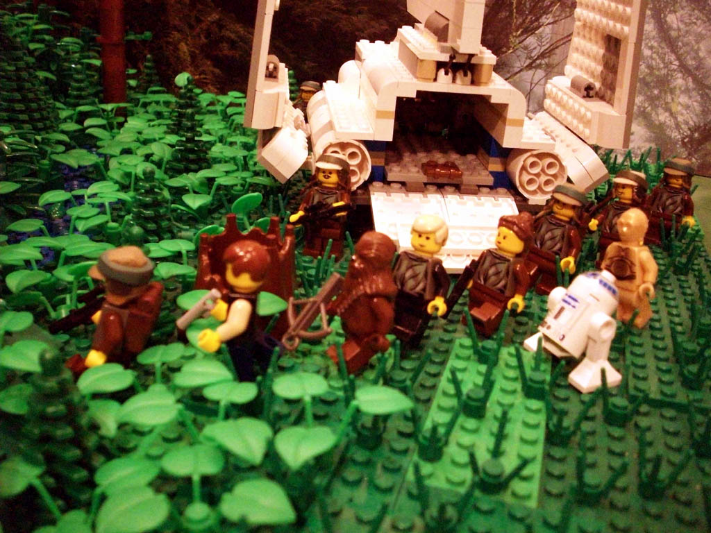 z-endor_landing_a11_050.jpg